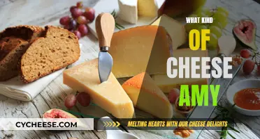 Cheese Exploration: Amy's Adventure in Flavor and Texture