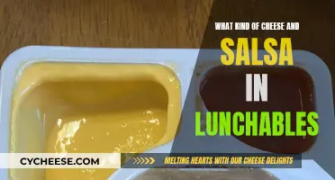 Cheese and Salsa Lunchables: Exploring Flavor Combinations