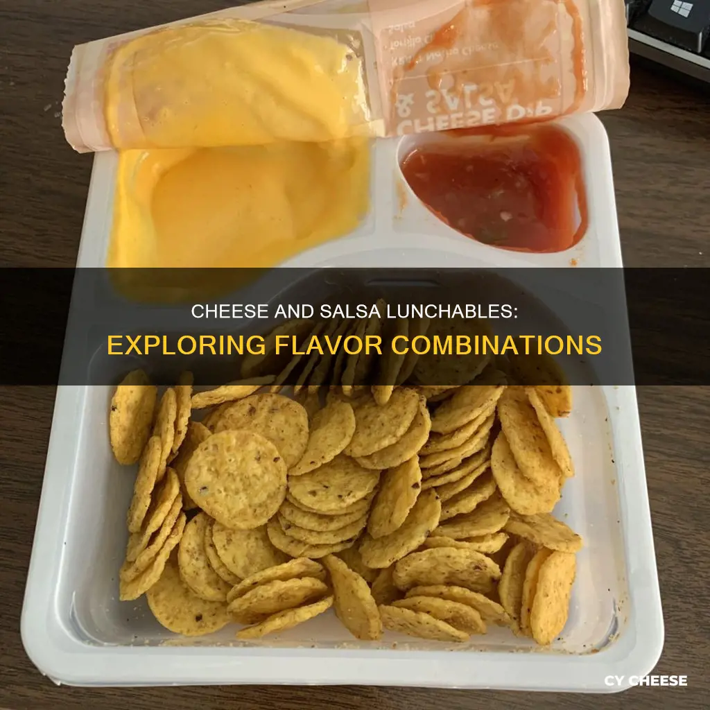 what kind of cheese and salsa in lunchables