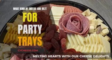 Cheese Party Trays: Best Types for a Delicious Spread