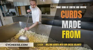 Cheese Curds: What's the Main Cheese?
