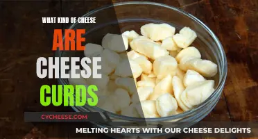 Cheese Curds: Understanding Their Unique, Cheesy Nature