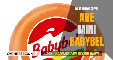 The Mystery of Mini Babybel: Unveiling the Cheese Within