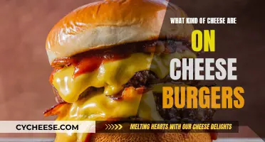 Cheese Lovers' Guide to Cheeseburgers: Top Cheese Picks