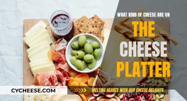 Cheese Platter Delights: Exploring Varieties and Flavors