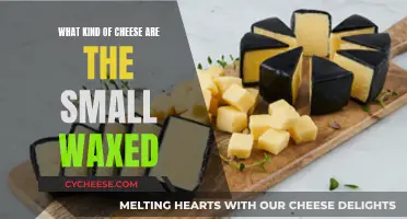 Cheese Connoisseurs: Unwrapping the Mystery of Wax-Covered Cheeses