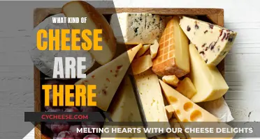 Cheese Varieties: A Comprehensive Overview of Delicious Cheeses