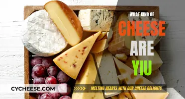 Cheese Types: A Guide to Your Cheesy Self