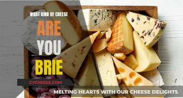 Cheese Preferences: What Kind of Brie Are You?