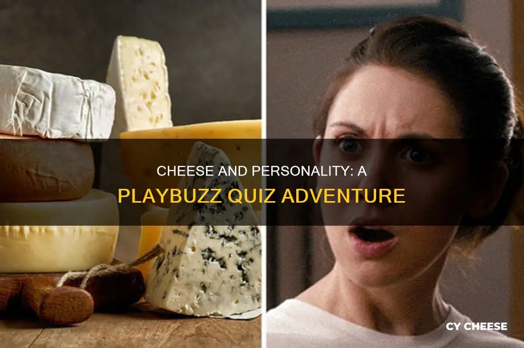 what kind of cheese are you playbuzz