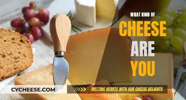 Cheese Types: A Guide to Your Cheesy Personality