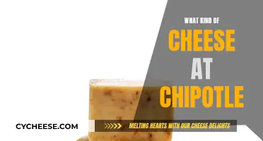 Chipotle's Cheese: A Guide to the Perfect Topping