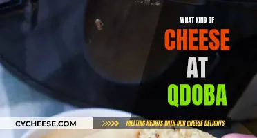 Cheese Choices: Qdoba's Top Melty Options