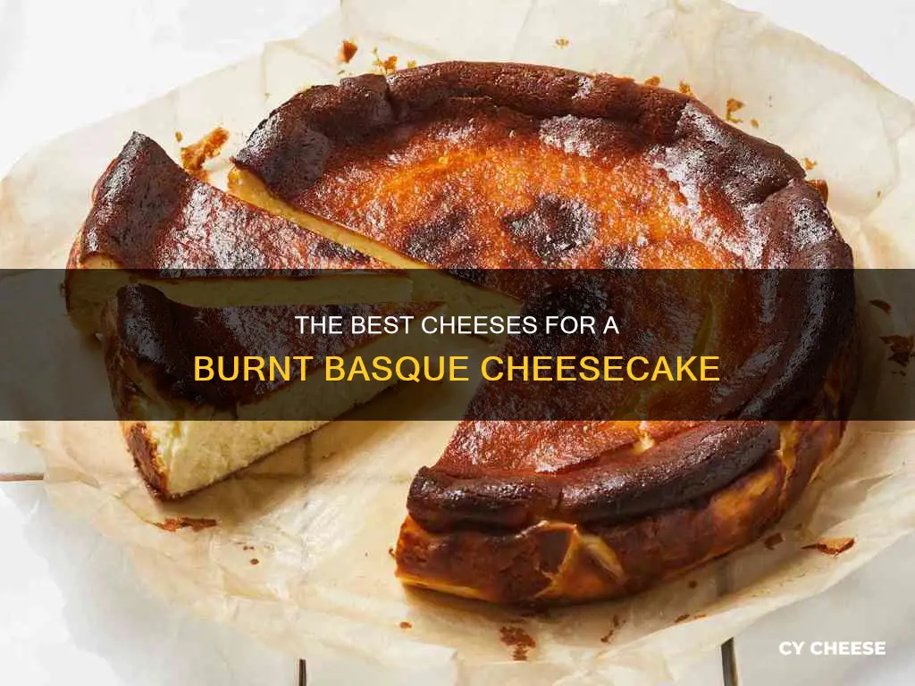 what kind of cheese burnt basque cheesecake