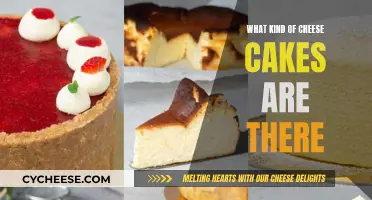 Cheese Cakes: Exploring the Diverse Varieties and Flavors