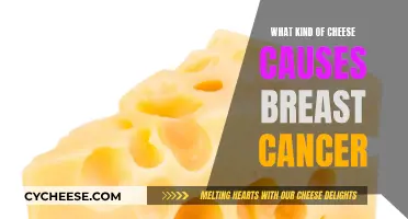 Cheese and Cancer: What's the Link?