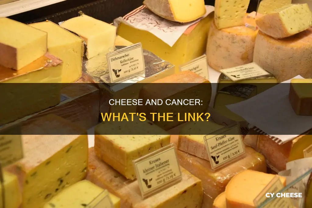 what kind of cheese causes breast cancer