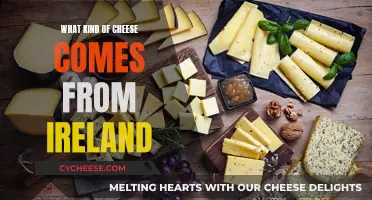 Irish Cheeses: A Comprehensive Overview of Varieties