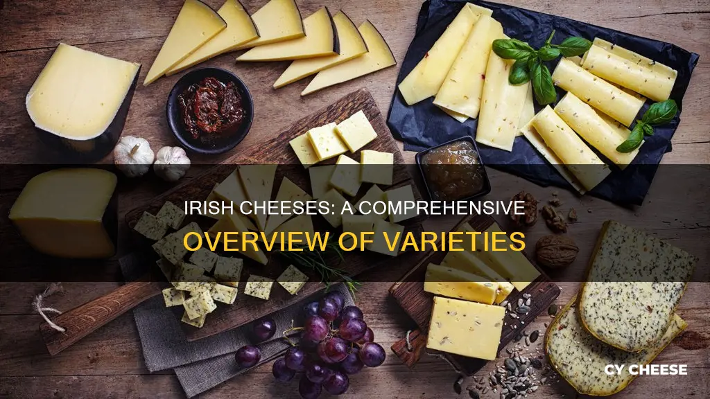 what kind of cheese comes from ireland