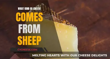 Sheep Cheese: Exploring the Cheesy Side of Sheep