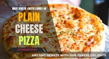 Cheese Pizza: What's the Best Cheese to Use?