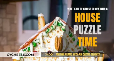 Cheese and House Puzzle: A Perfect Match?