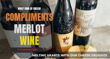 Merlot and Cheese: Perfect Pairing for Rich Flavors