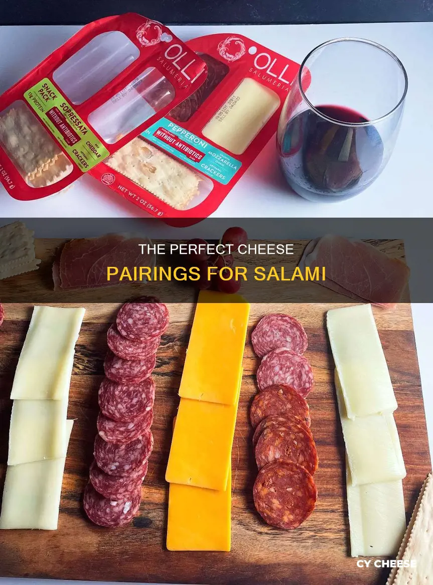 what kind of cheese compliments salami