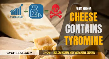 Cheese Varieties Rich in Tyrosine: A Comprehensive Guide