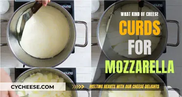 Mozzarella Cheese Curds: Choosing the Right Kind for You