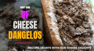 D'Angelo's Cheesy Delights: Exploring Their Unique Cheese Offerings