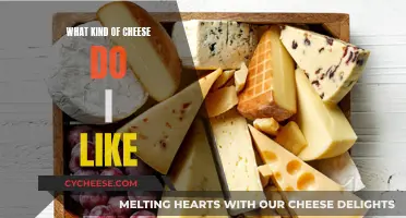 Cheese Preferences: My Top Picks and Why