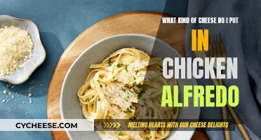 Choosing the Right Cheese for Chicken Alfredo