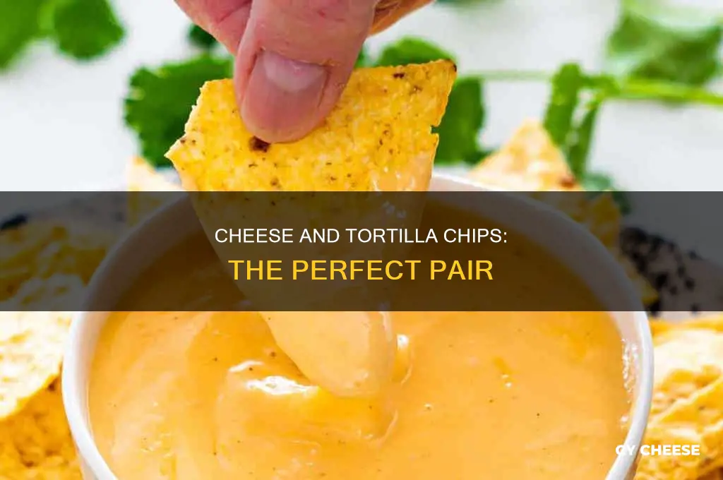 what kind of cheese do i use for torilla chips
