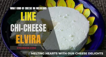 Cheese Dreams: Chi-Cheese Elvira's Mexican Delight