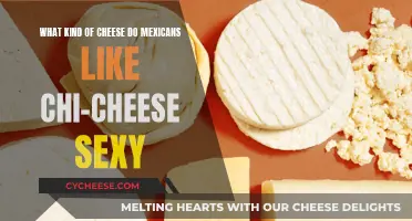 Cheese and Chili: A Match Made in Mexican Heaven