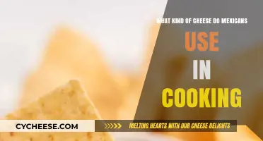 Cheese in Mexican Cooking: Types and Uses