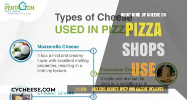 Cheese Types Pizza Restaurants Use: A Guide