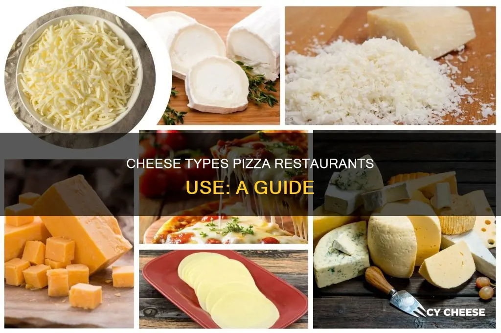 what kind of cheese do pizza shops use