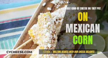 Cheese Toppings on Mexican Street Corn: A Guide