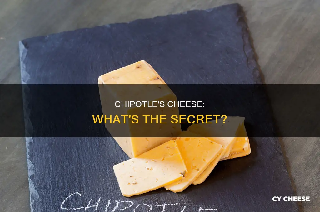 what kind of cheese do they use at chipolte