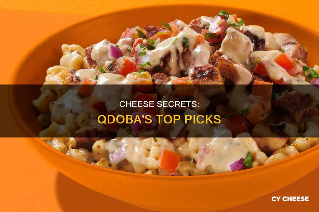 what kind of cheese do they use at qdoba