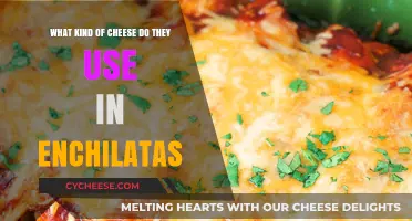 Cheese in Enchiladas: What's the Perfect Type?