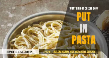 Cheese and Pasta: The Perfect Pairing Guide