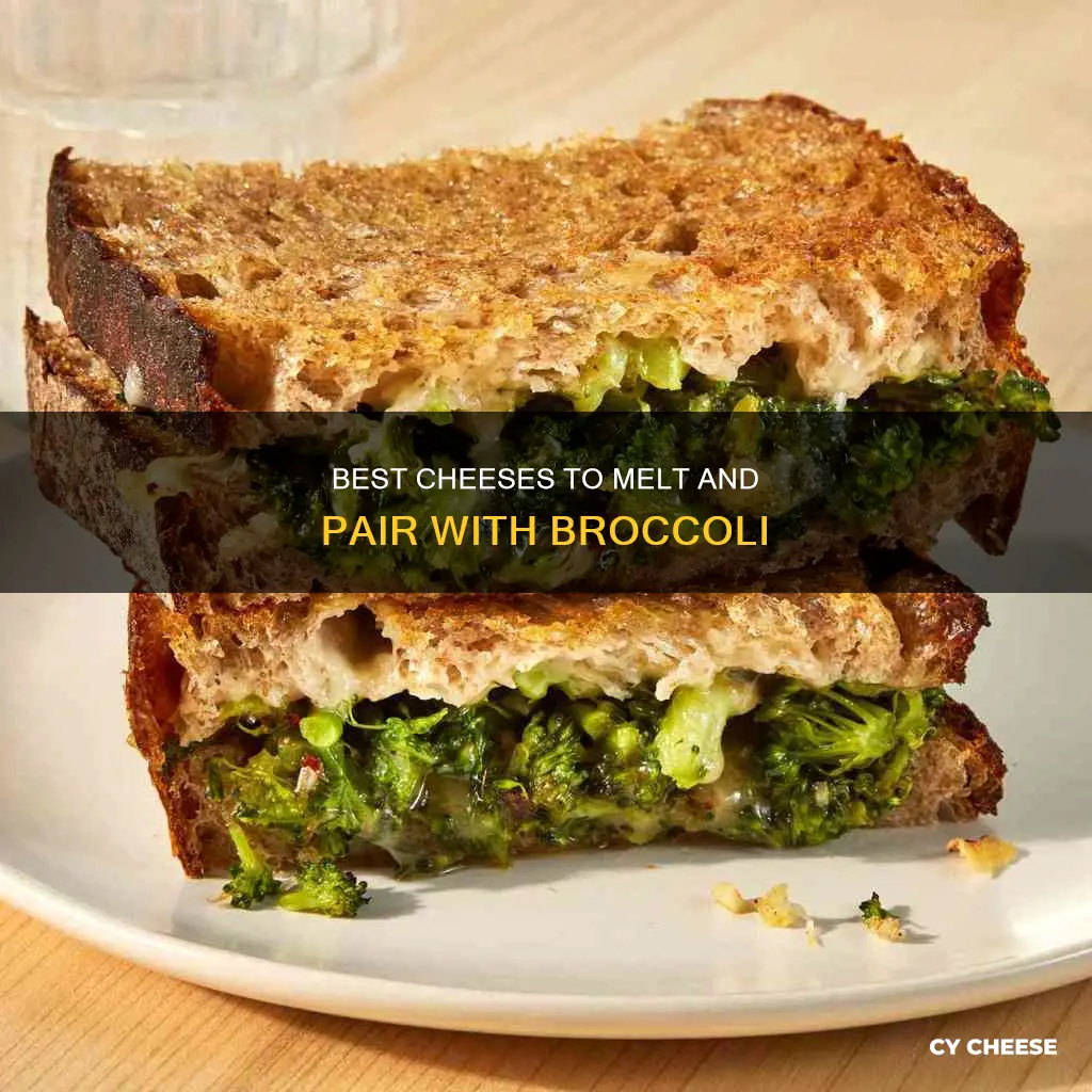 what kind of cheese do you melt on broccoli