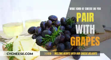 Cheese and Grape Pairing: A Perfect Match