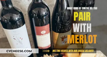 Merlot and Cheese: Perfect Pairing for a Rich Taste