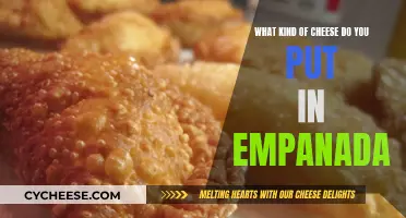 Cheese Empanadas: The Ultimate Guide to Melty Goodness