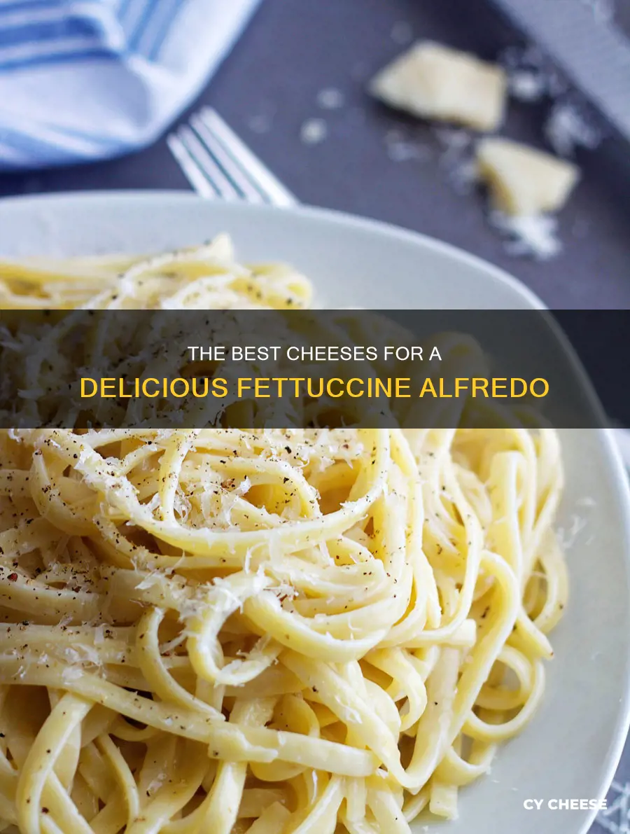 what kind of cheese do you put in fettuccine alfredo