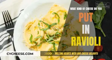 Cheese and Ravioli: Perfect Pairing for Pasta Delights